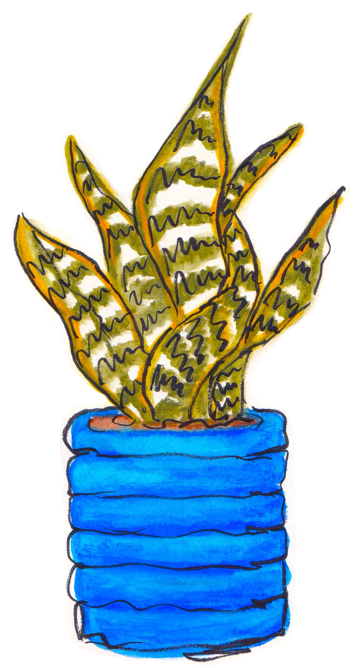 Haworthia Sticker