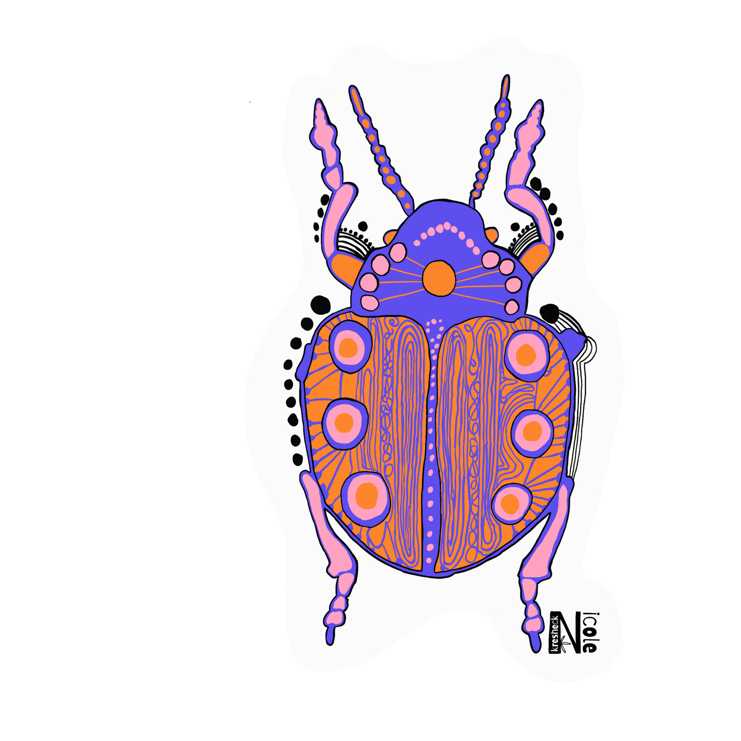 Pink & Orange Beetle