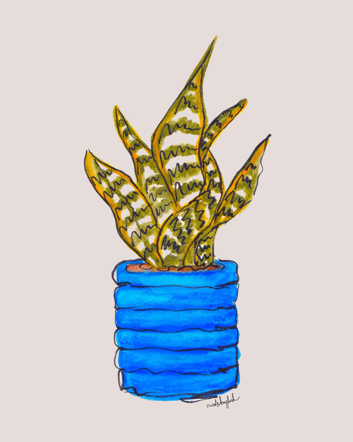 Snake Plant