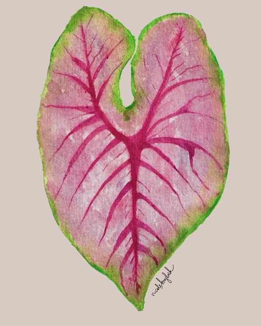 Caladium Poster