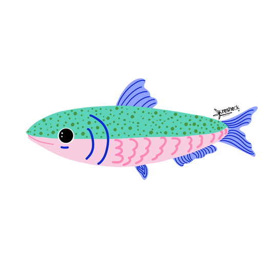 Pink Sardine